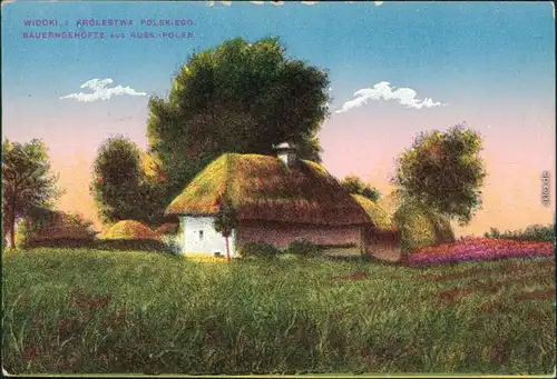 Ansichtskarte Polen (Allgemein) Bauerngehöfte - Königreich Polen 1916 