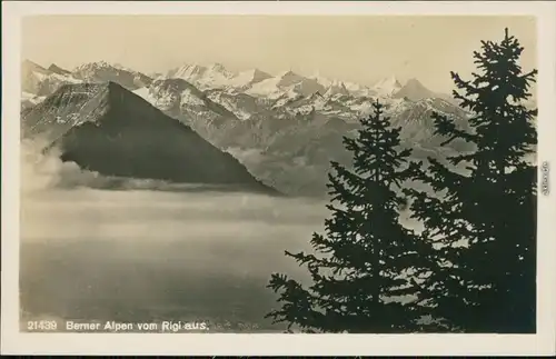 Ansichtskarte Arth SZ Berner Alpen vom Rigi Kulm aus mit Nebel 1932