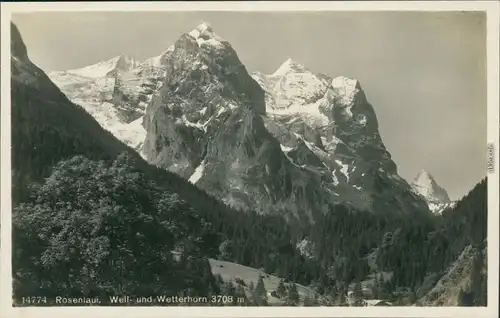 Ansichtskarte Grindelwald Rosenlaui - Well- und Wetterhorn (3708 m) 1932