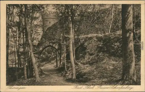 Ansichtskarte Bad Thal-Ruhla Ruine im Wald 1929