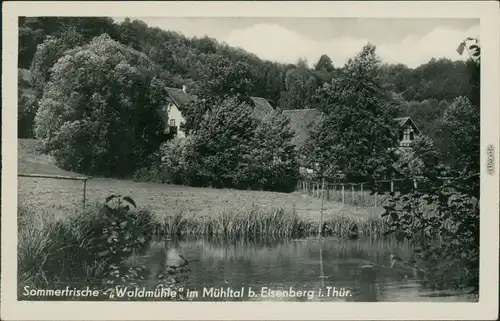 Ansichtskarte Eisenberg (Thüringen) Eisenberger Mühltal 1989