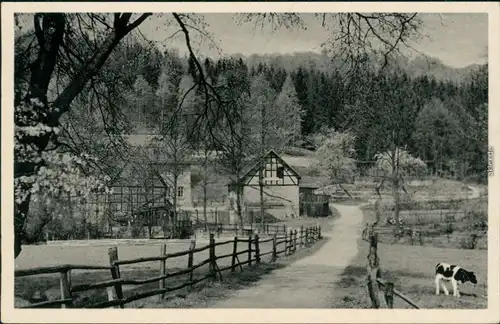 Ansichtskarte Eisenberg (Thüringen) Walkmühle mit Weide und Rinder 1956