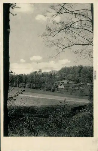 Ansichtskarte Eisenberg (Thüringen) Walkmühle mit Weide 1956