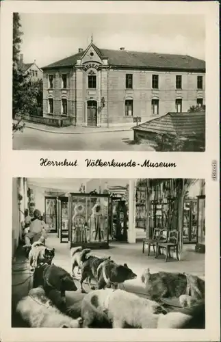 Ansichtskarte Herrnhut Museum - Außen- und Innenansicht 1958