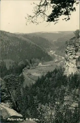 Ansichtskarte Hohnstein (Sächs. Schweiz) Polenztal 1956