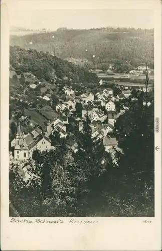 Ansichtskarte Krippen-Bad Schandau Blick auf den Ort 1953