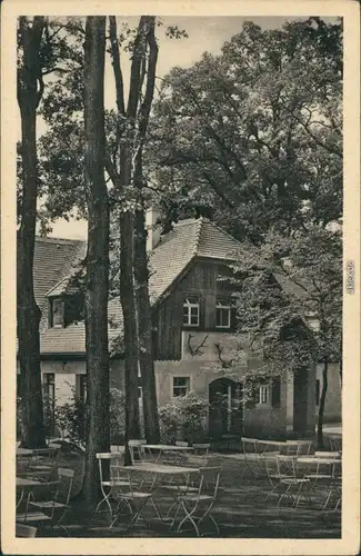 Ansichtskarte Moritzburg Kgl. Jagdschloss - Churfürstliche Waldschenke 1930
