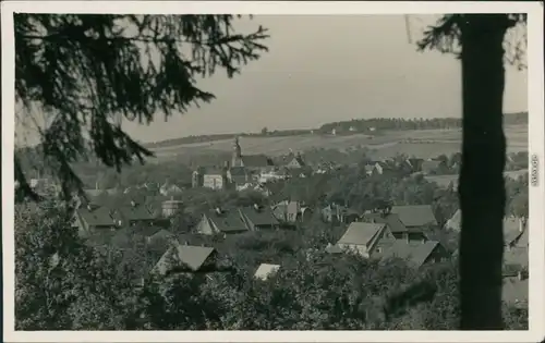 Ansichtskarte Dippoldiswalde Blick auf den Ort 1954 