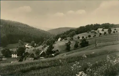 Ansichtskarte Seiffen (Erzgebirge) Seiffener Grund 1962