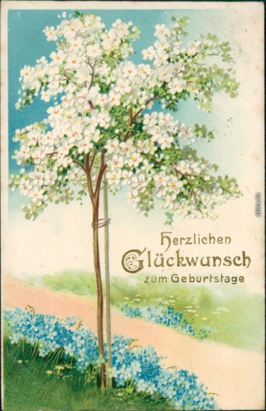 Glückwunsch/Grußkarten Geburtstag blühender Baum 1907 Prägekarte Nr