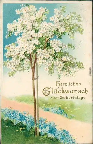 Glückwunsch/Grußkarten: Geburtstag - blühender Baum 1907 Prägekarte