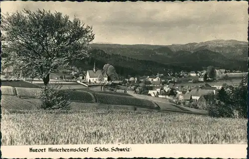 Hinterhermsdorf-Sebnitz Panorama-Ansicht mit Kirche im Zentrum 1955