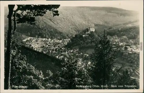 Ansichtskarte Schwarzburg Panorama-Ansicht von Trippstein 1951