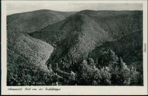 Ansichtskarte Schwarzburg Schwarzatal - Blick von der Teufelstreppe 1932