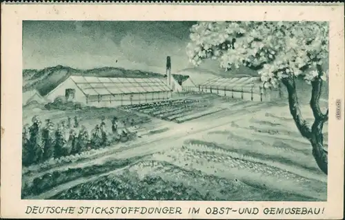 Ansichtskarte  Deutsche Stickstoffdünger im Obst- und Gemüsebau 1922