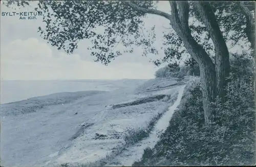 Ansichtskarte Keitum (Sylt) Kejtum / Kairem Strand mit Uferbereich 1916