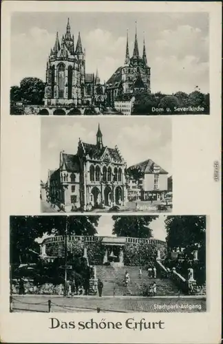 Ansichtskarte Erfurt Dom u. Severikirche, Rathaus, Stadtpark-Aufgang 1954