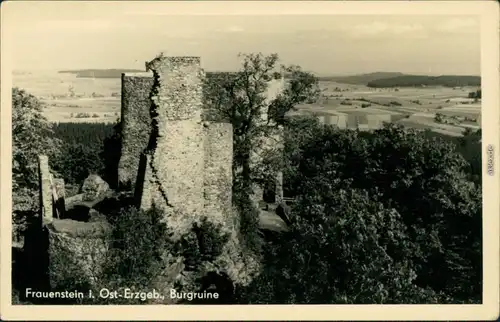 Ansichtskarte Frauenstein (Erzgebirge) Schloß und Burgruine 1955