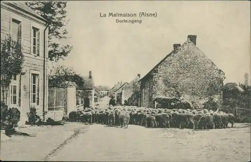 CPA La Malmaison Dorfeingang mit Schafsherde 1915