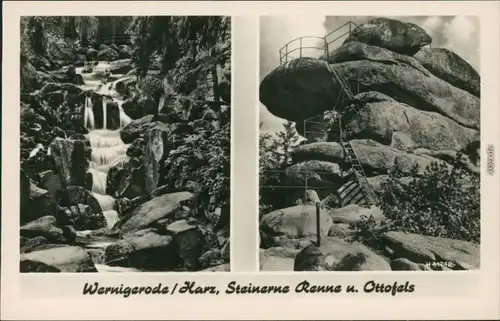 Ansichtskarte Wernigerode Steinerne Renne und Ottofelsen 1955