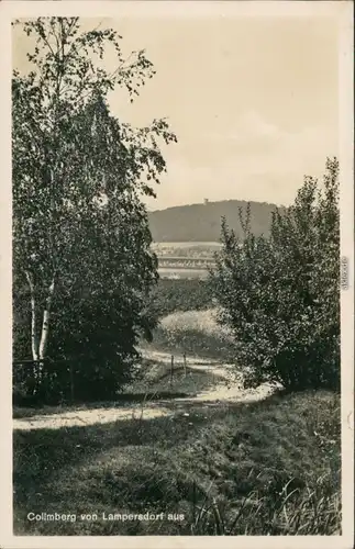 Ansichtskarte Collm-Wermsdorf Feldweg mit Fernblick 1932