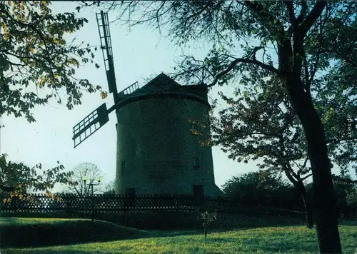 Ansichtskarte Syrau (Vogtland) Windmühle 1988