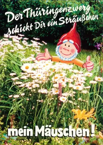 Ansichtskarte  Thüringenzwerge - Gänseblumenwiese 2001