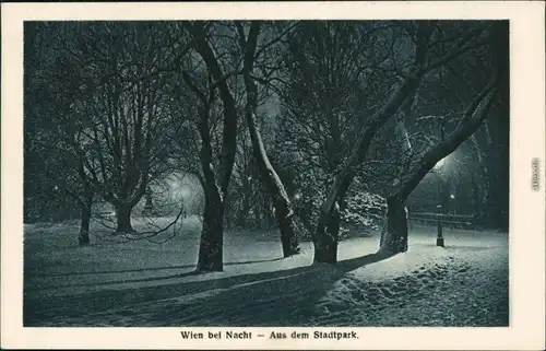 Ansichtskarte Wien Stadtpark bei Nacht 1918