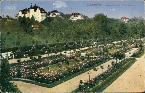 Ansichtskarte Chemnitz Rosarium im Stadtpark 1917