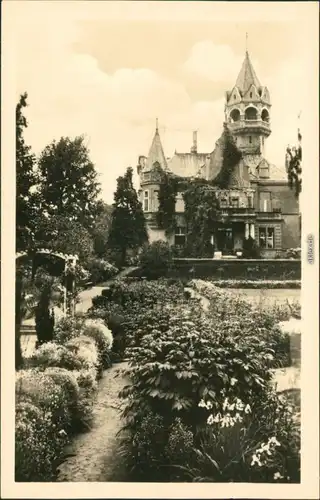 Ansichtskarte Nordhausen Meyenburg-Museum 1953