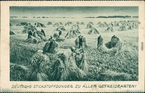 Ansichtskarte  Werbekarte - Deutsche Stickstoffdünger 1926 