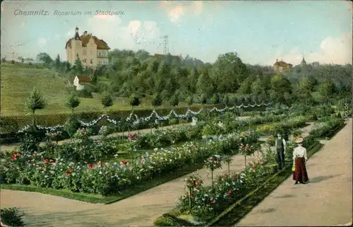 Ansichtskarte Chemnitz Rosarium im Stadtpark 1908