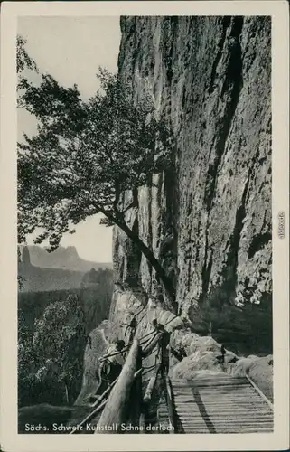 Ansichtskarte Kirnitzschtal Kuhstall, Schneiderloch 1953