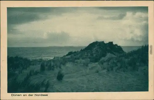Ansichtskarte Wittdün (Amrum) Dünen an der Nordsee 