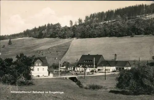 Rehefeld-Zaunhaus-Altenberg (Erzgebirge) Häuser, Weide, Landschaft 1965