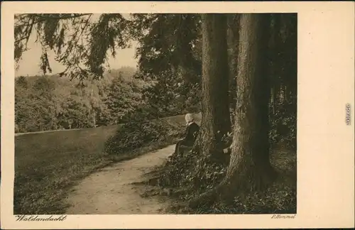 Ansichtskarte Badenweiler Waldandacht 1924