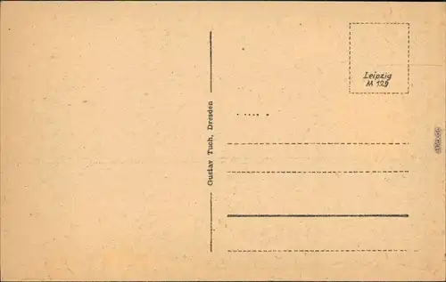Ansichtskarte Innere Altstadt-Dresden Brühlsche Terrasse / Terassenufer 1949