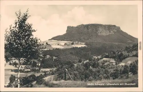 Ansichtskarte Porschdorf-Bad Schandau Lilienstein mit Ebenheit 1954