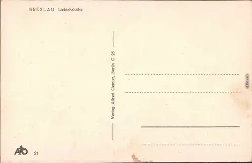 Ansichtskarte Breslau Wrocław Liebichshöhe mit riesen Fontäne 1931