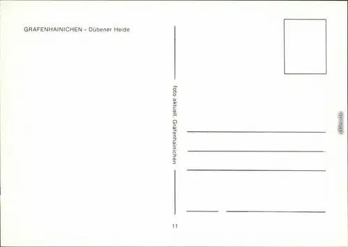 Ansichtskarte Gräfenhainichen Postsäule, Vorstadtteich, Rathaus 1997