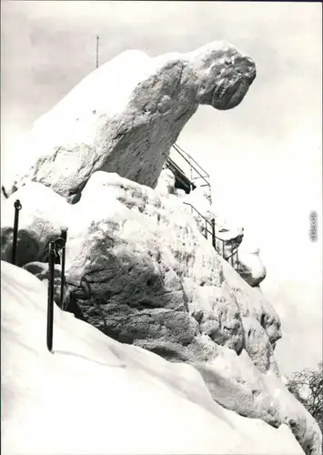 Ansichtskarte Oybin Töpfer (Berg) - "Papagei" 1975