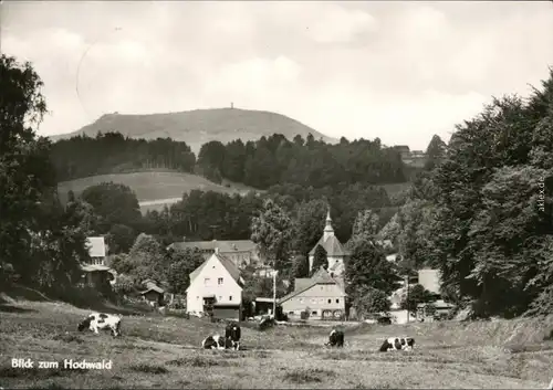 Ansichtskarte Lückendorf-Oybin Blick auf den Ort 1974