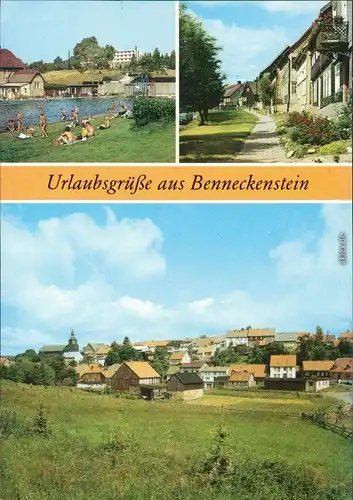 Benneckenstein Freibad, Oberstadt, Wiese 1988