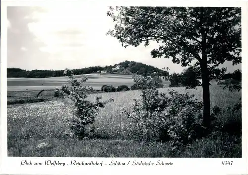 Ansichtskarte Reinhardtsdorf-Reinhardtsdorf-Schöna Wolfsberg 1975