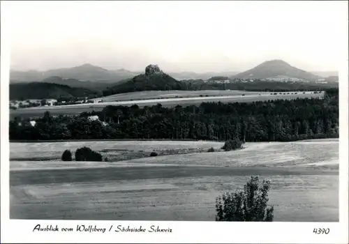 Reinhardtsdorf-Reinhardtsdorf-Schöna Ausblick vom Wolfsberg 1975