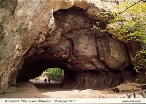 Ansichtskarte Kirnitzschtal Kuhstall 1997