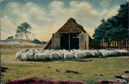  Künstlerkarte: Gemälde / Kunstwerke - Der Schäfer mit seiner Herde 1914