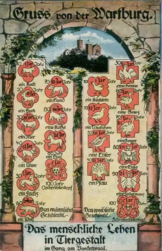 Eisenach Wartburg - das menschl. Leben in Tiergestalt  m Bankettsaal 1913
