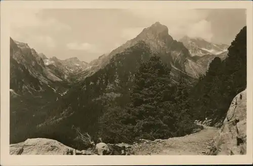 Ansichtskarte Vysoké Tatry Blick ins Gebirge 1957