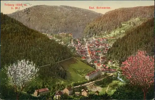 Ansichtskarte Triberg im Schwarzwald Blick auf die Stadt 1912